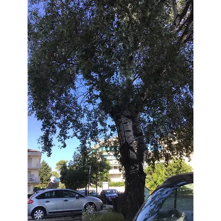 Casa Vacanze Fronte Mare * Montesilvano Marina